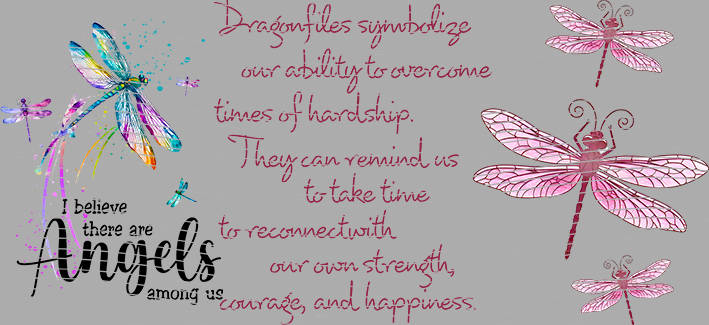 16oz Element-EN-1910